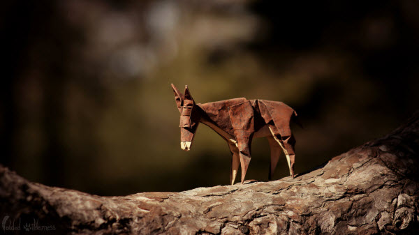 a-donkeys-journey-origami