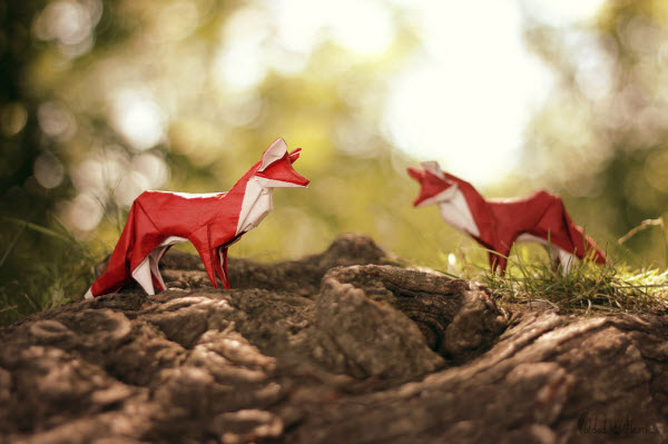 playing-the-fox-origami