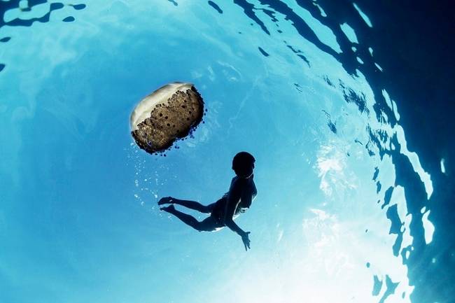 20 Imagens mostrando como o fundo do mar pode ser 