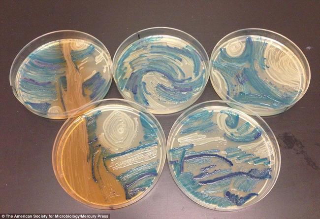 Arte-Bacterias-4