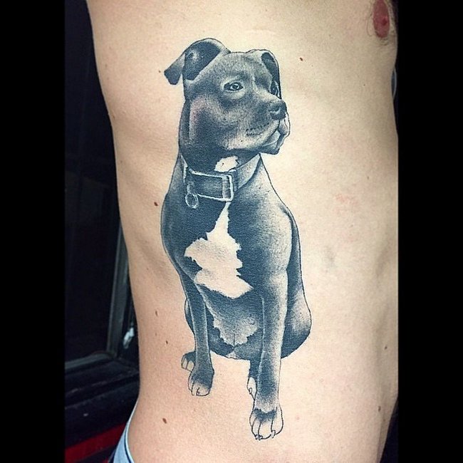 tatuagens-perfeitas-para-quem-ama-animais-27