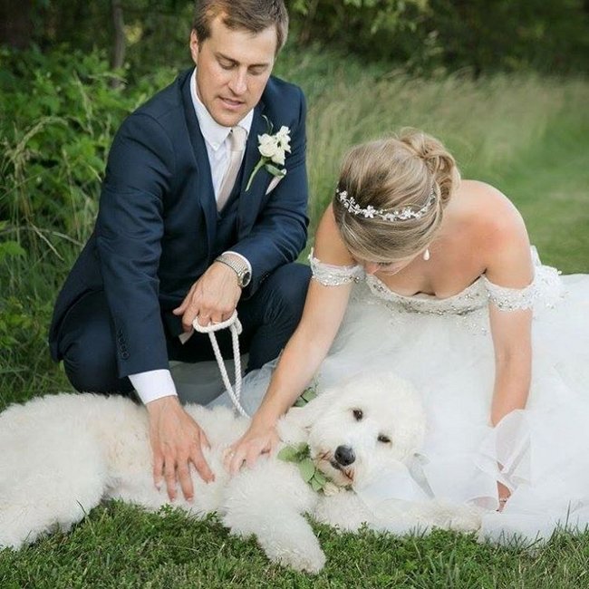 cachorros-em-casamentos-20