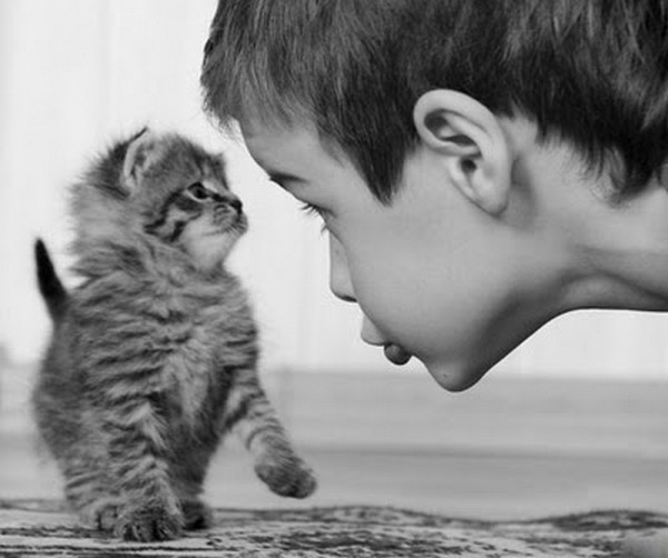nocence-of-kids-and-their-pets-01