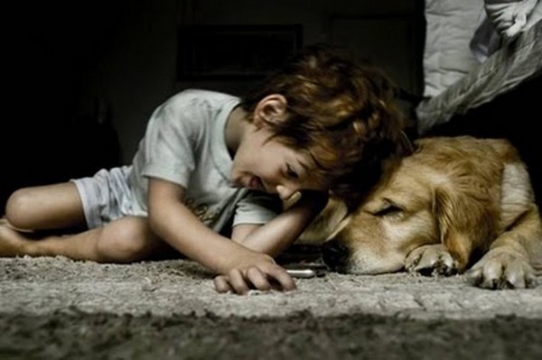 nocence-of-kids-and-their-pets-03