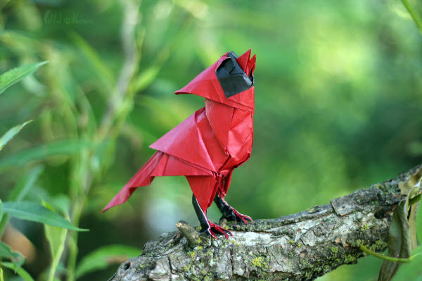 singing-cardinal-origami