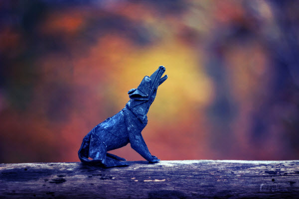 the-howling-wolf-origami
