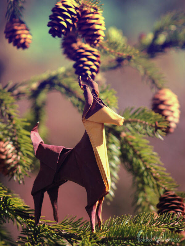 where-the-entelope-play-origami