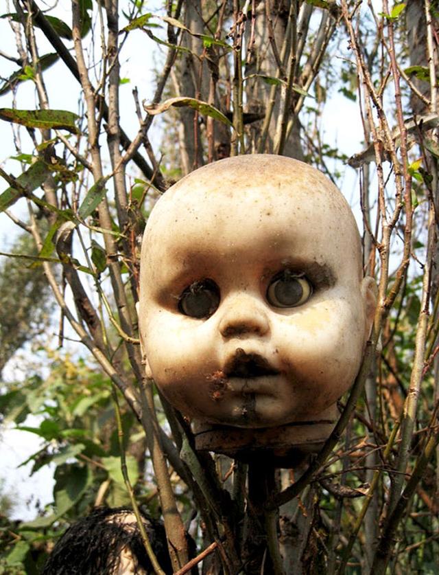 Mexicos-Haunted-Island-Of-The-Dolls-1