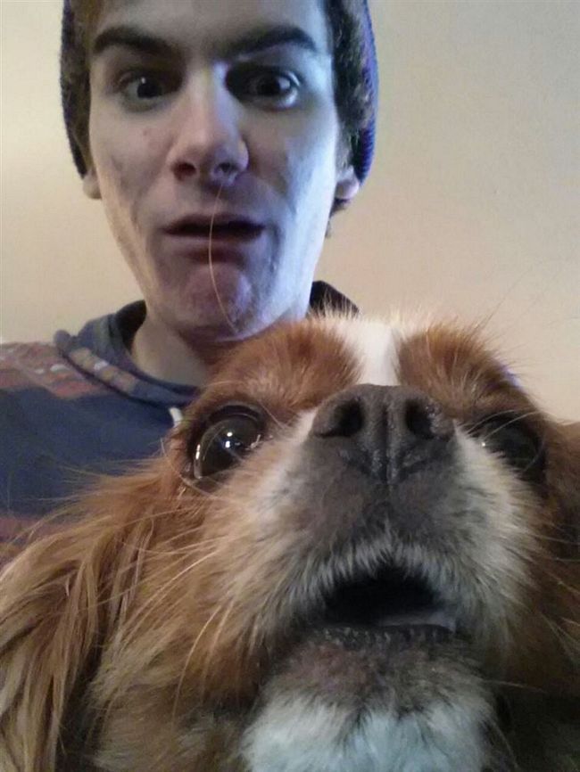cachorros-selfie-20