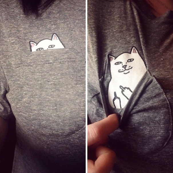 camiseta-gato-escondido-4