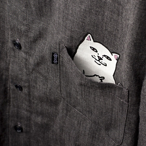 camiseta-gato-escondido-5