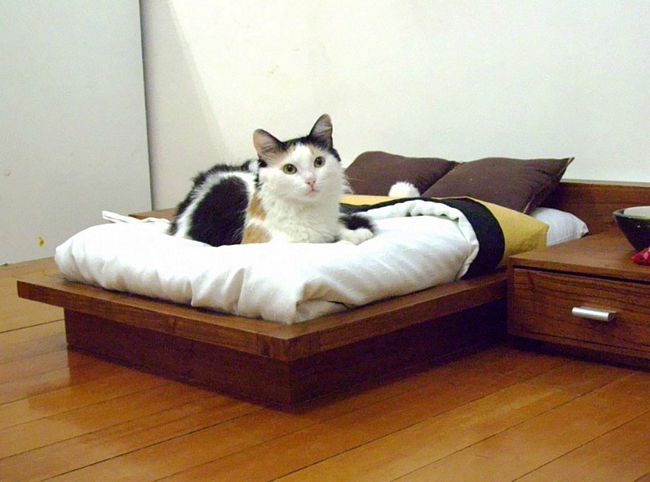 móveis-para-gatos-3-2