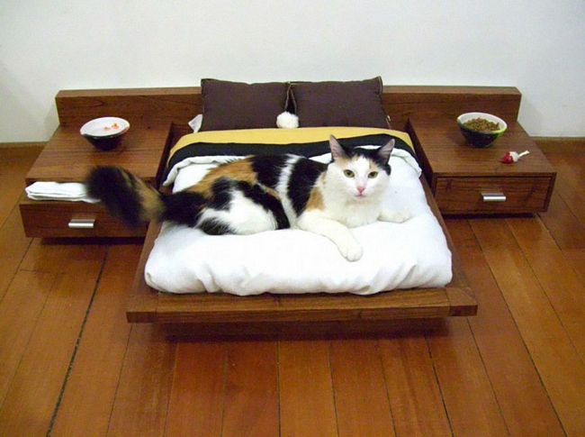 móveis-para-gatos-3