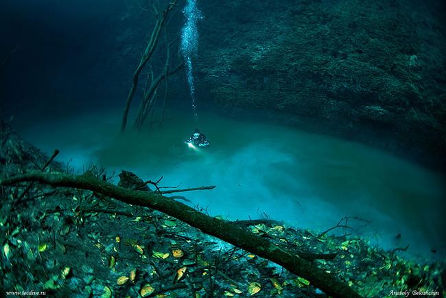 underwater-river-cenote-angelita-mexico-2