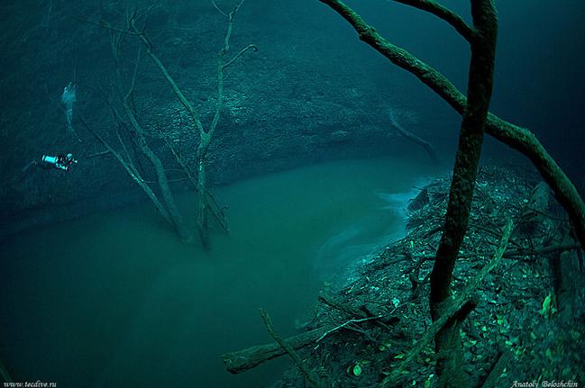 underwater-river-cenote-angelita-mexico-7