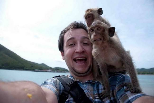 animais-que-não-querem-tirar-selfies-27