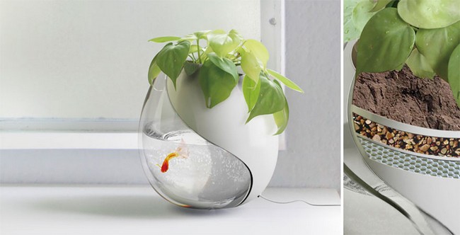 vasos-plantas-criativos-3