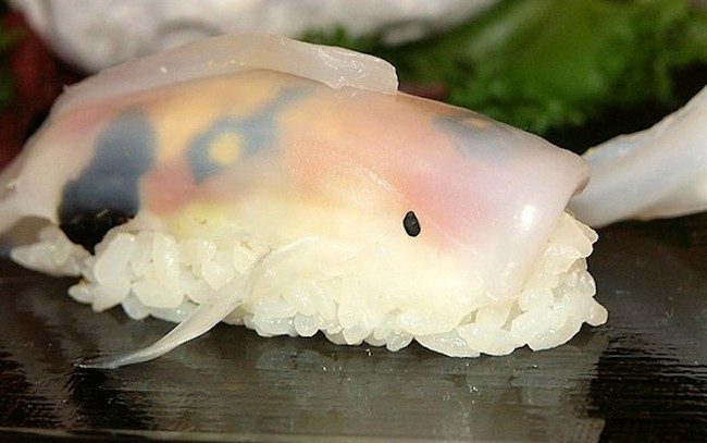 sushi-parece-peixe-6