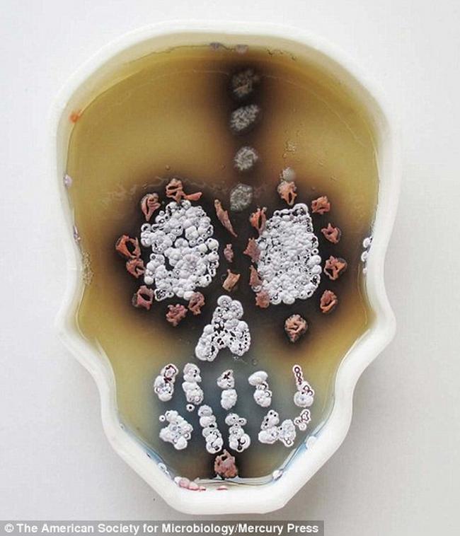 Arte-Bacterias-16