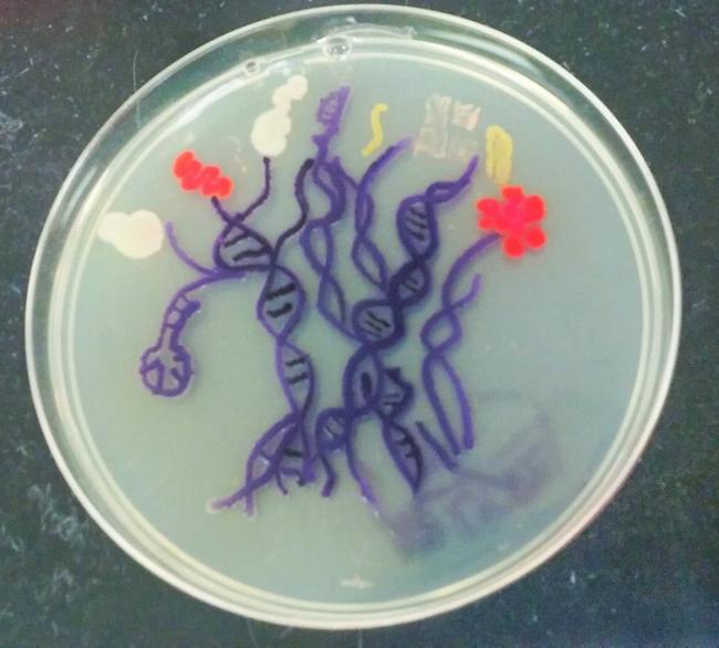 Arte-Bacterias-23