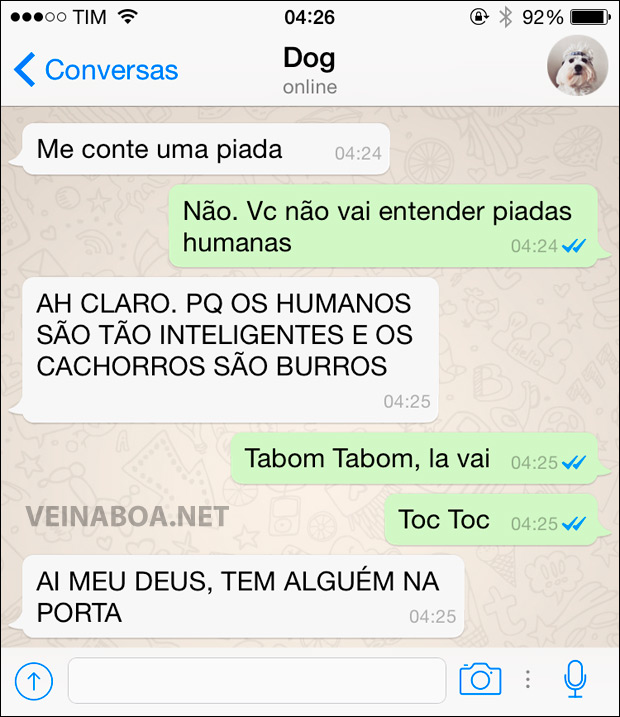 cachorro-whatsapp-16