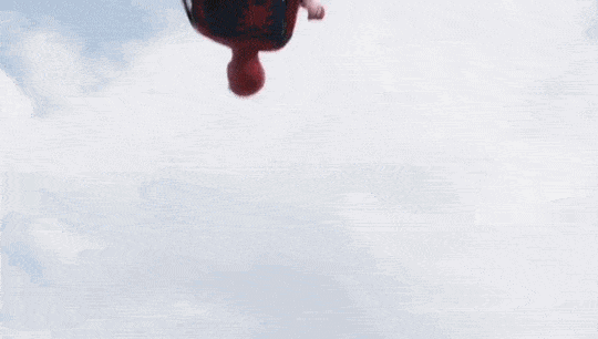 combined-gif-spider-man-cat