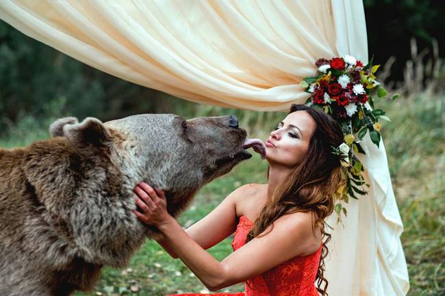 urso-casamento-3