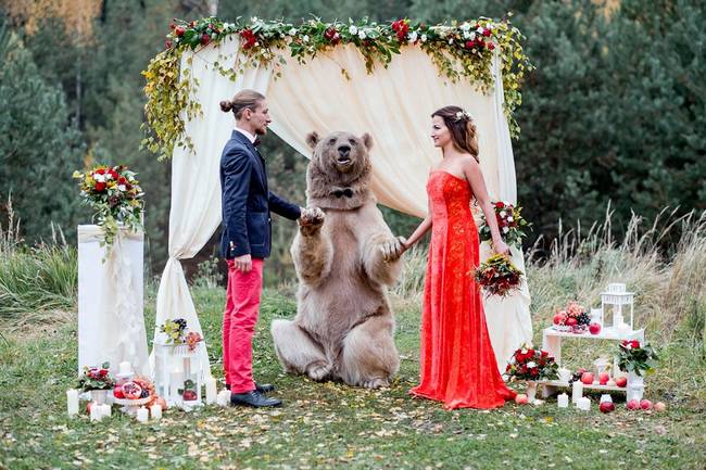 urso-casamento-4