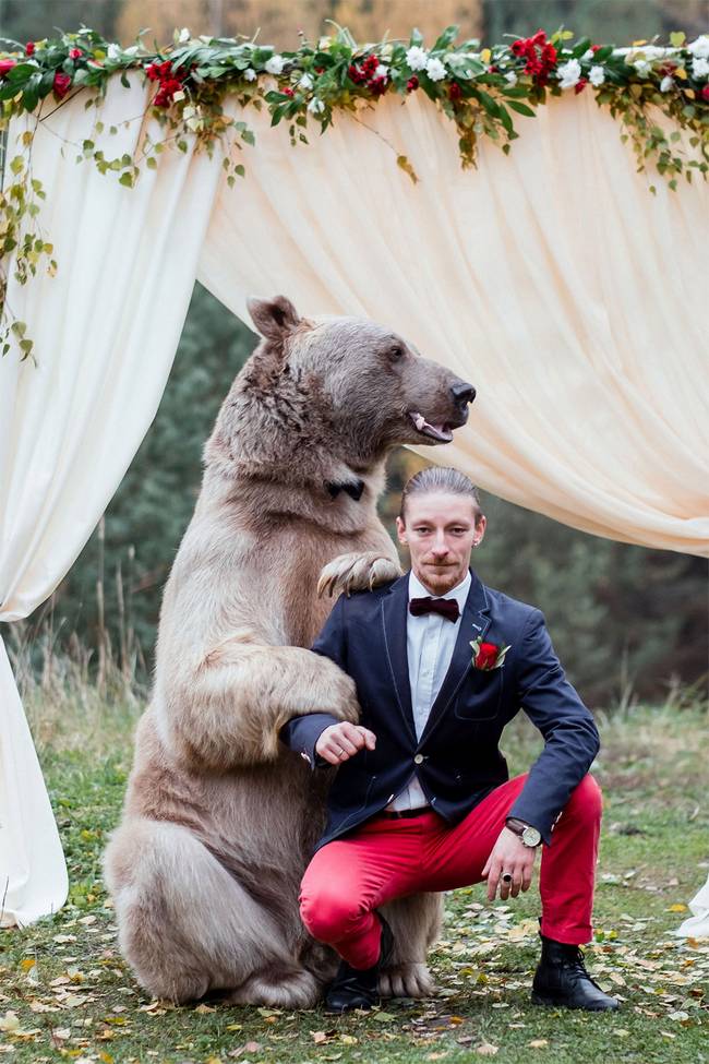 urso-casamento-6
