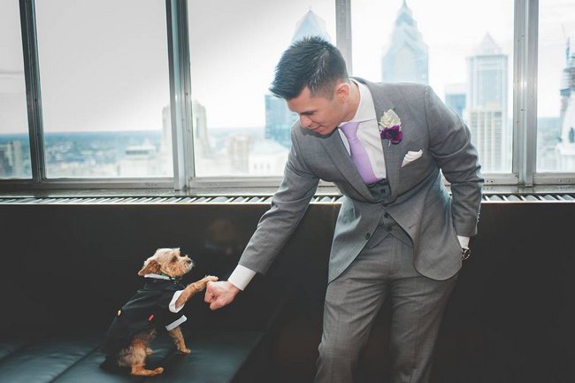 cachorros-em-casamentos-15