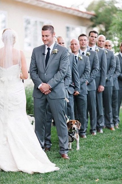 cachorros-em-casamentos-21