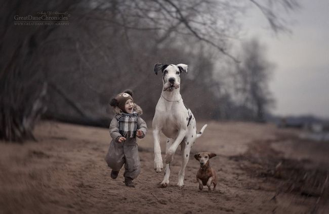 cachorros-gigantes-com-criancas-13