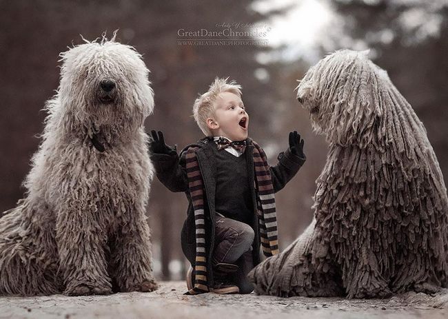 cachorros-gigantes-com-criancas-5