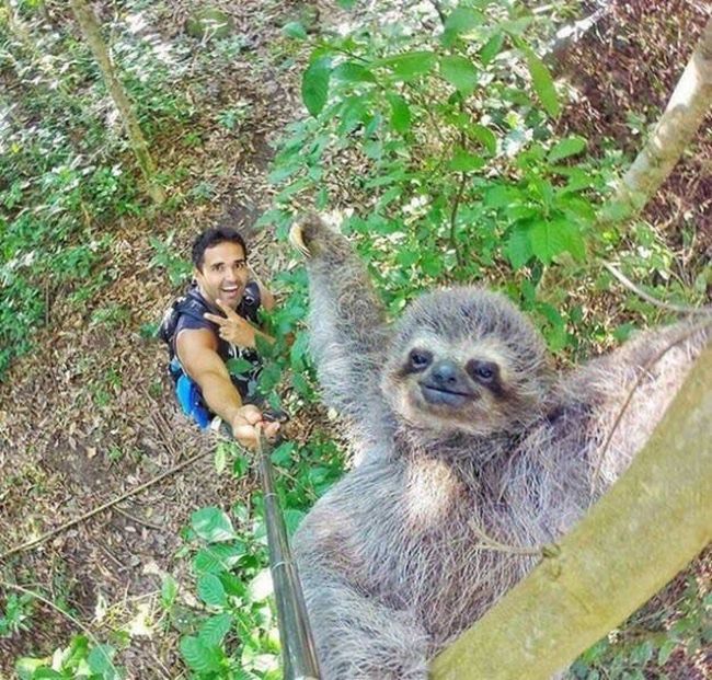 As selfies mais bem tiradas que você vai ver hoje