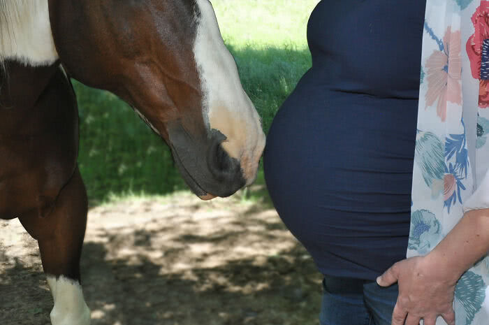 Foto de cavalo sorrindo em ensaio de maternidade viraliza no